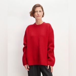 Everlane The Felted Merino Oversized Crewneck
